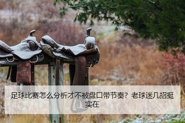 足球比赛怎么分析才不被盘口带节奏？老球迷几招挺实在