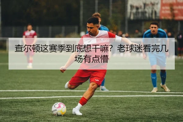 查尔顿这赛季到底想干嘛？老球迷看完几场有点懵