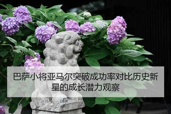 巴萨小将亚马尔突破成功率对比历史新星的成长潜力观察